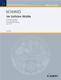 Im tiefsten Walde op.34/4